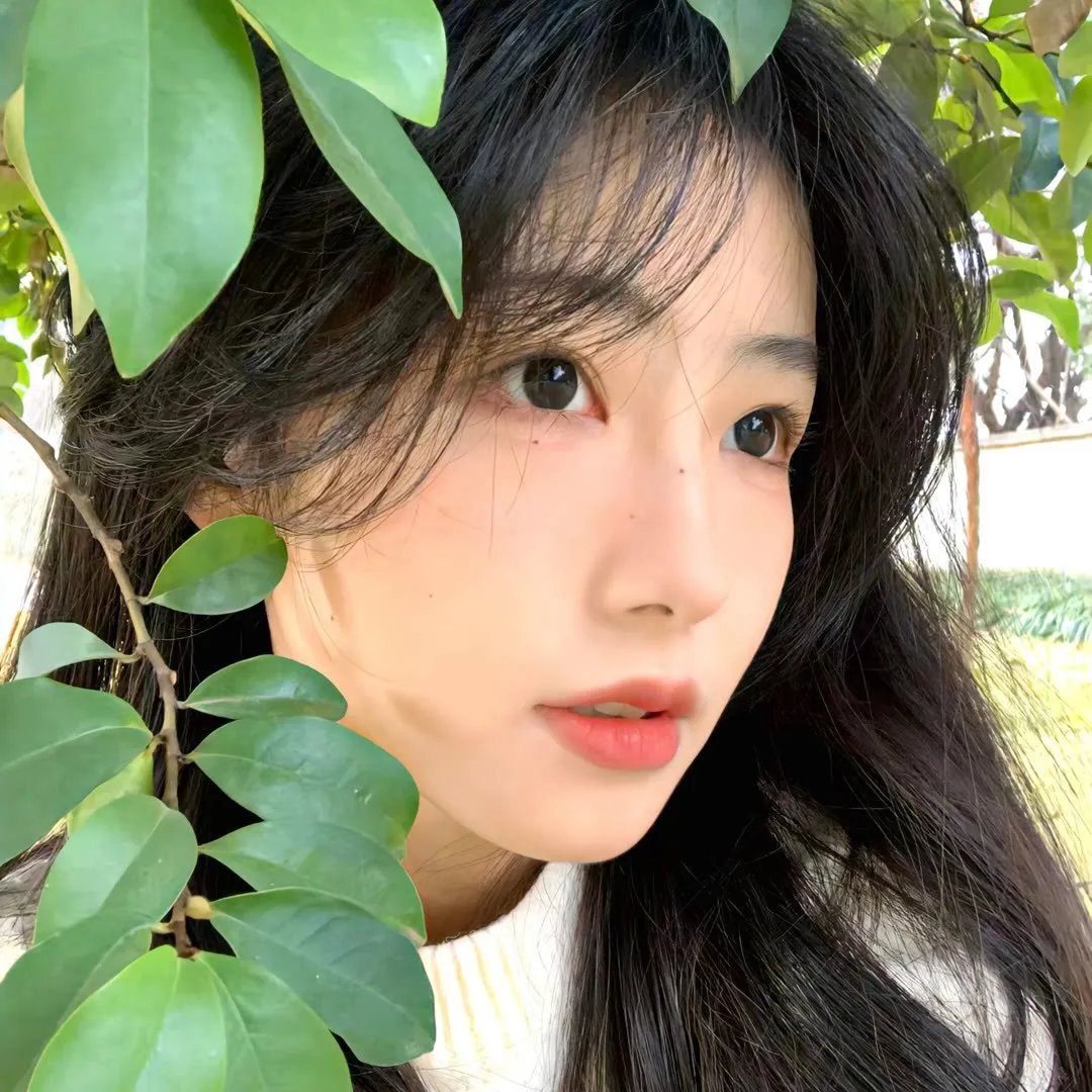 鱼影之群